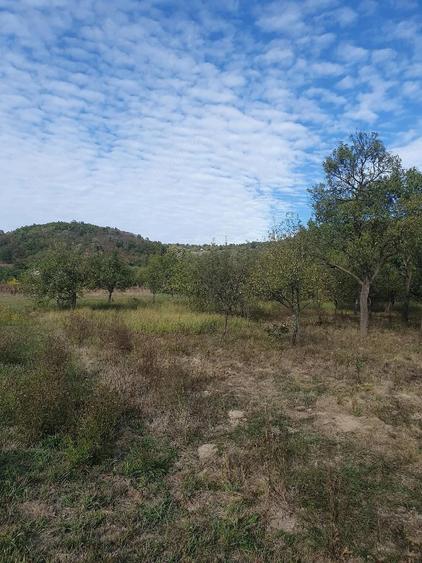 Teren de 60 mp, în Orașu Nou