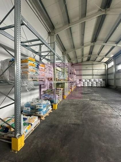 Hale industriale cu parcari multiple Bragadiru Sos Alexan... - 10