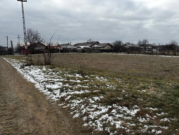 Teren de 1600 mp, în Hălăucești