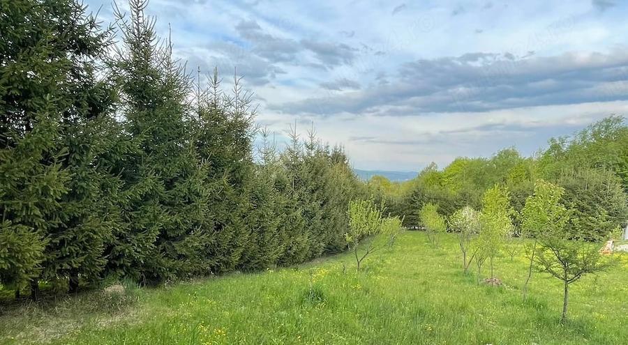 Teren de 3700 mp, în Piatra