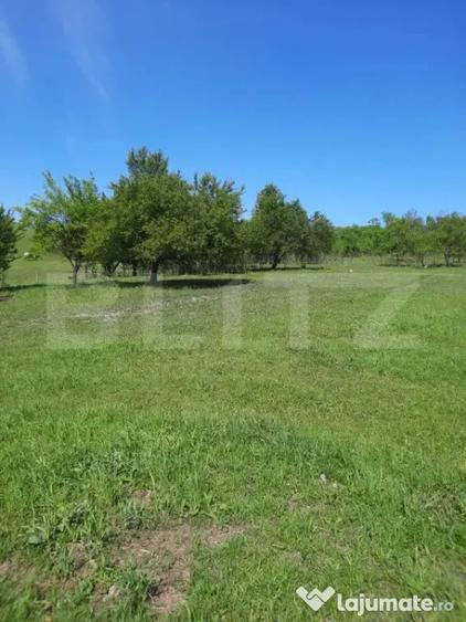 Teren intravilan de vanzare, 28 de ari, zona Herina, Bistrit - 1