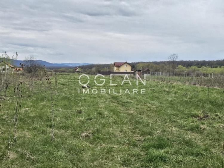 Teren Construcții intravilan de 3450 mp, în Arhitecților - Calea Cisnădiei