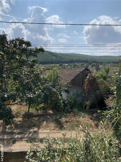 Teren de 3078 mp, în Ciucurova
