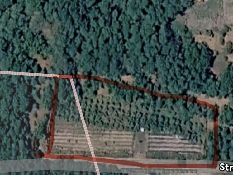 Teren de 1734 mp, în Straja