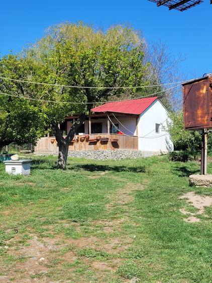 Teren Construcții intravilan de 10680 mp, în Pietreni