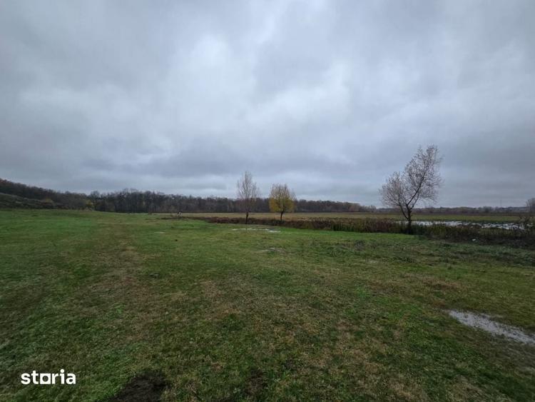 Teren de 100000 mp, în Albota
