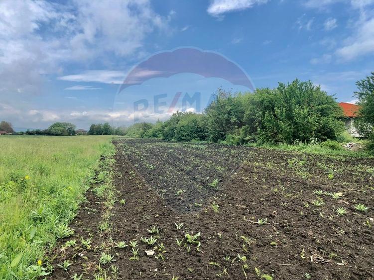 Teren Construcții intravilan de 3250 mp, în Stupini