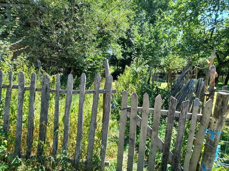 vand teren cu casa, in zona pitoreasca fara poluare fonica - 3