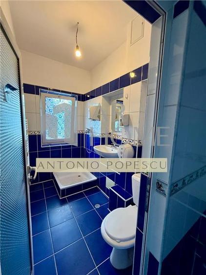 Spațiu comercial, de 532.54998779297 mp, în Ultracentral