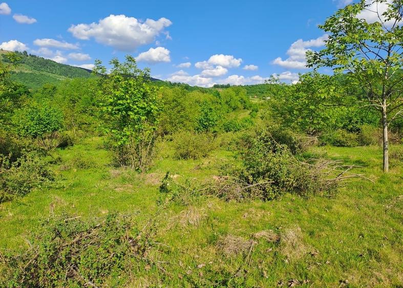 Teren în Central