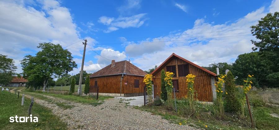 Casă cu 7 camere semidecomandat cu Teren 3900 Mp în Șuncuiuș