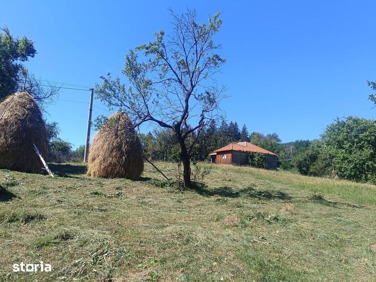 Teren de 10378 mp, în Brebu