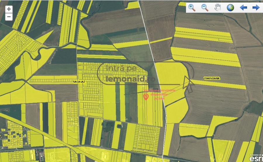 Teren agricol extravilan de 30000 mp, în Săcălaz