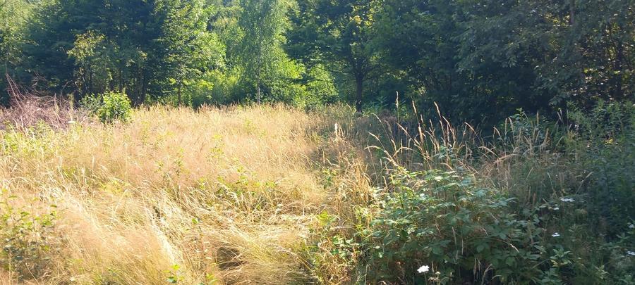 Teren Construcții intravilan de 3700 mp, în Porumbacu de Sus