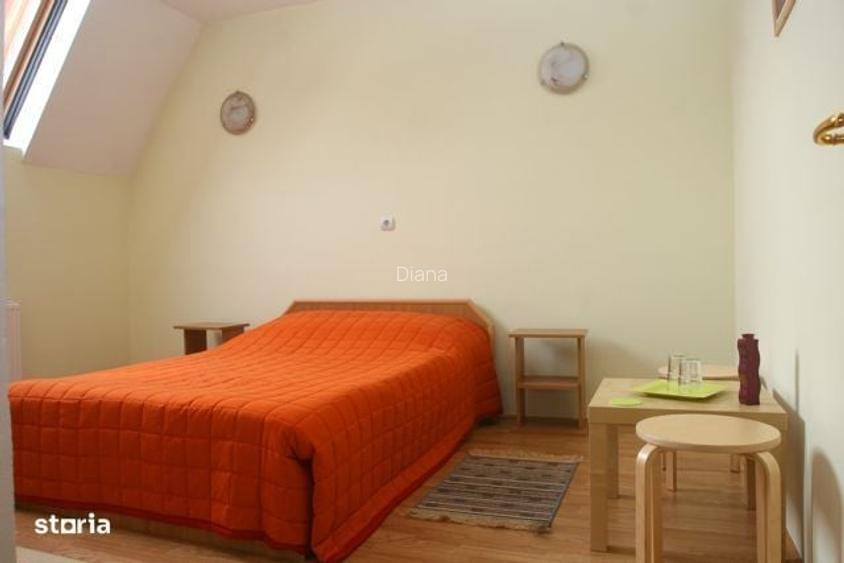 Vila 13 camere Voineasa, Valcea investitie montana pret de apartament