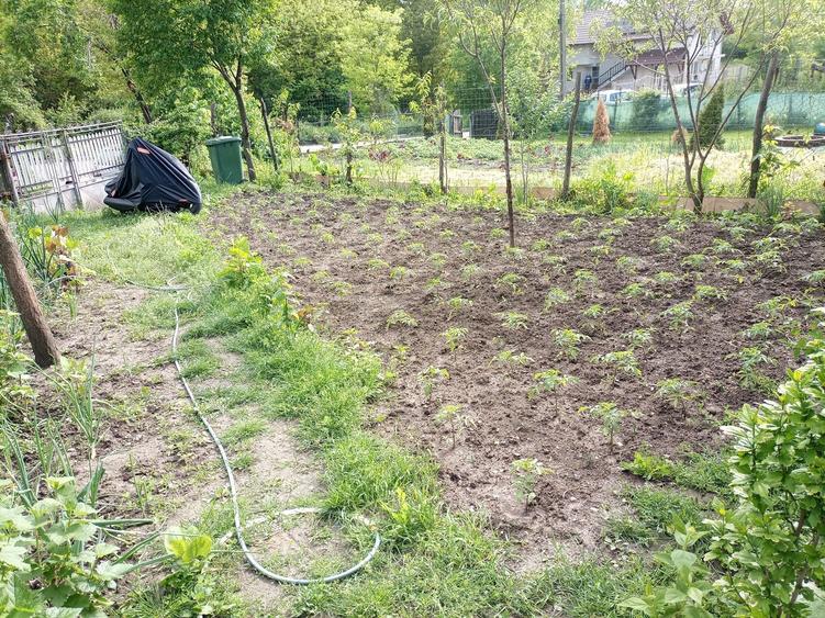 Casă cu 3 camere în Coșerele