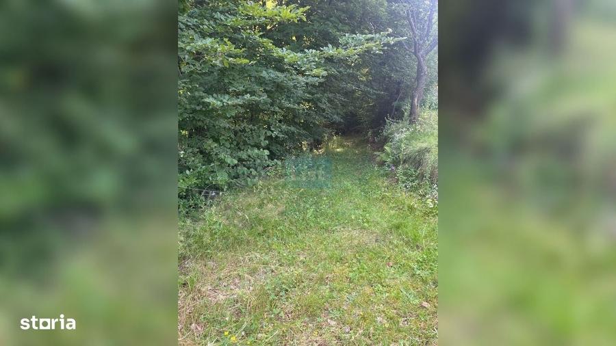 Spațiu comercial, în Săcuieu