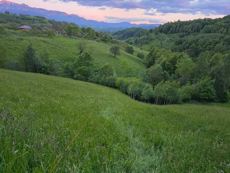 Teren de 1940 mp, în Măgura