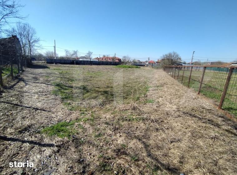 Teren de 1685 mp, în Almăj