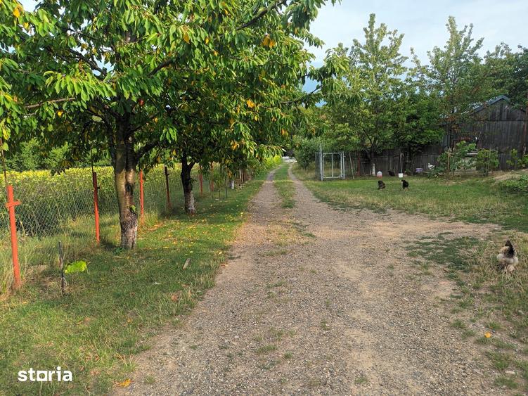 Casă cu 5 camere cu Teren 10000 Mp în Mihai Eminescu