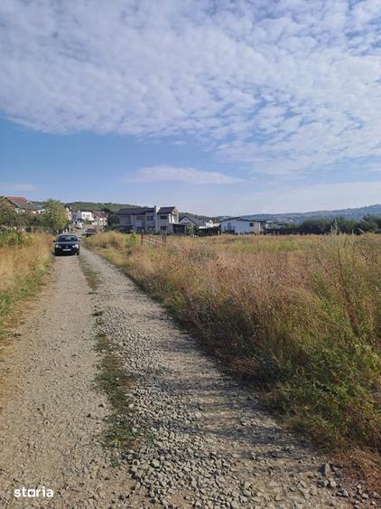 Teren de 25000 mp, în Central