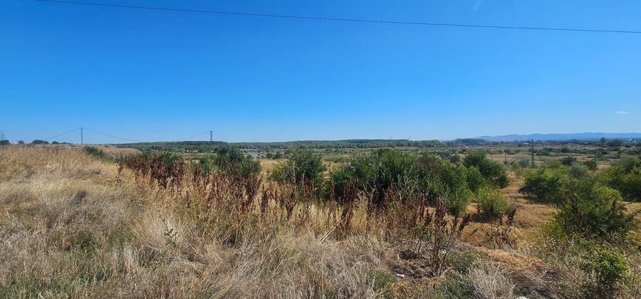 Teren Construcții intravilan de 14168 mp, în Brăilița