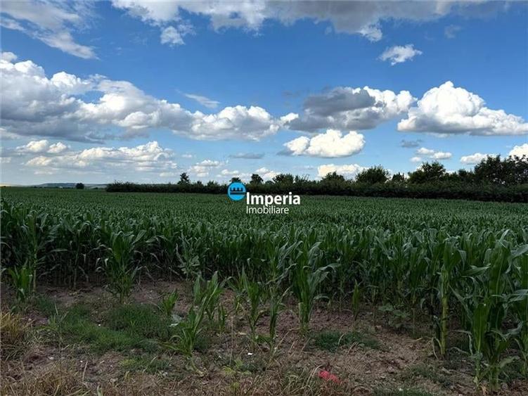 Teren agricol intravilan de 19800 mp, în Est