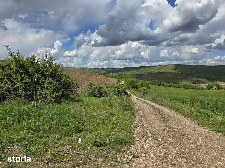 Teren de vanzare Cluj Napoca zona Centura Sub Coasta Emerson - 2