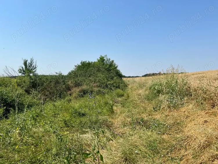 Teren de 4000 mp, în Ciolpani