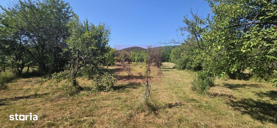Teren intravilan de vanzare 3375 mp in Brebu - 4