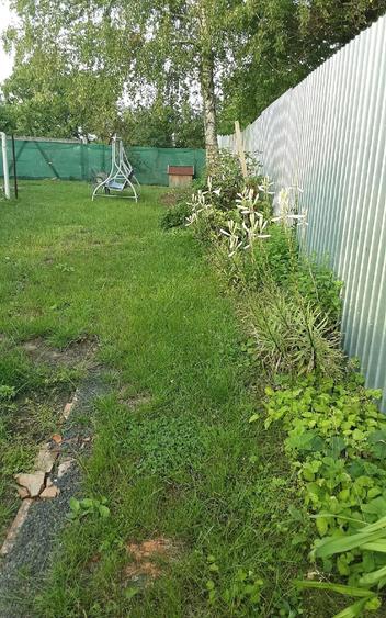 Casă cu 2 camere cu Teren 2700 Mp în Central