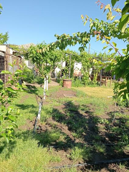 Casă cu 3 camere în Central