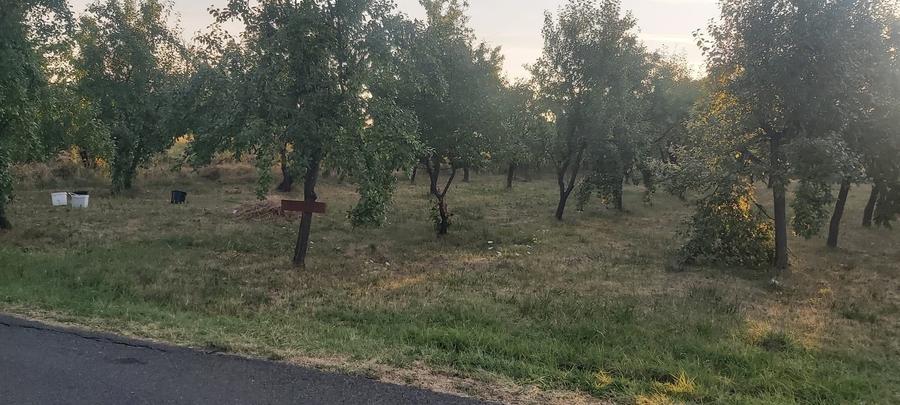 Spațiu comercial, în Cobia