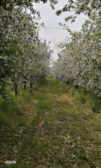 Casă cu 2 camere cu Teren 7350 Mp în Valea Vinului