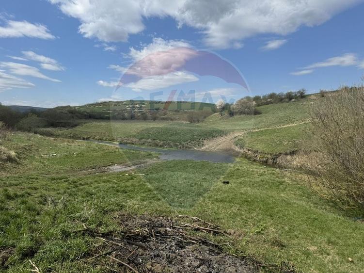 Teren Construcții extravilan de 8600 mp, în Luna de Jos