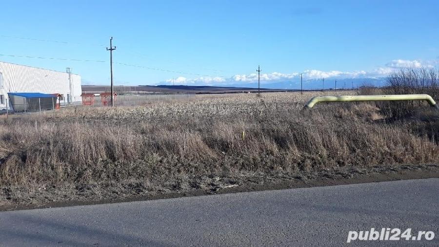Teren de 22500 mp, în Central