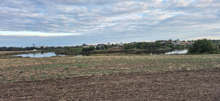 Teren Construcții intravilan de 850 mp, în Balotești