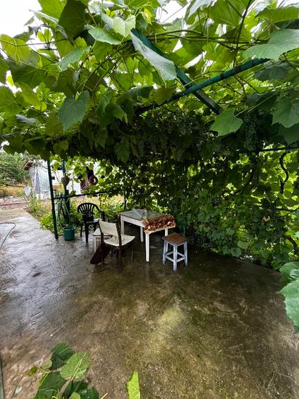 Casă cu 3 camere cu Teren 1700 Mp în Sălcioara