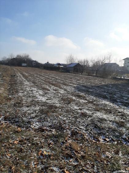 Teren de 1160 mp, în Jilava