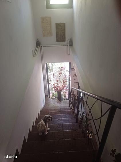 Casă cu 6 camere cu Teren 450 Mp în Cristian