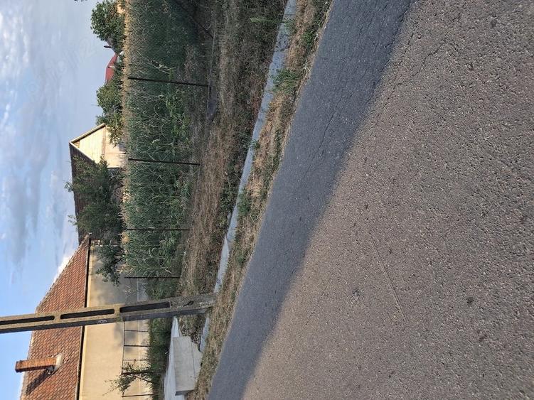 Vand loc de casa in Alparea - 1