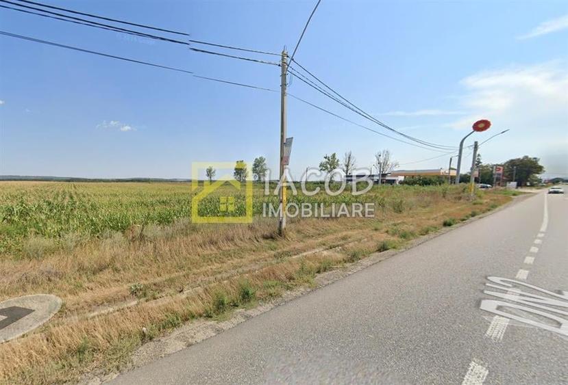 Teren Construcții intravilan de 8333 mp, în Secuienii Noi