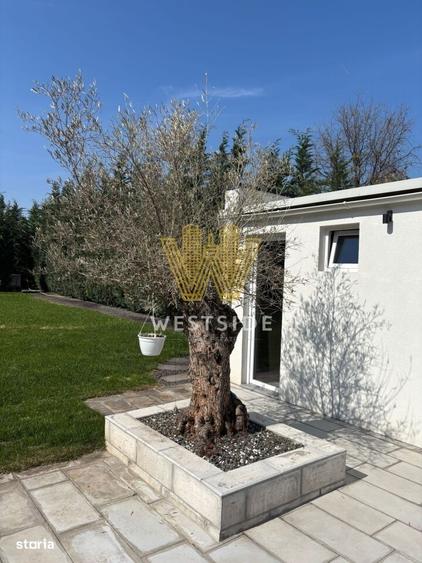 Vila impresionanta de vanzare, zona Lunei - 7