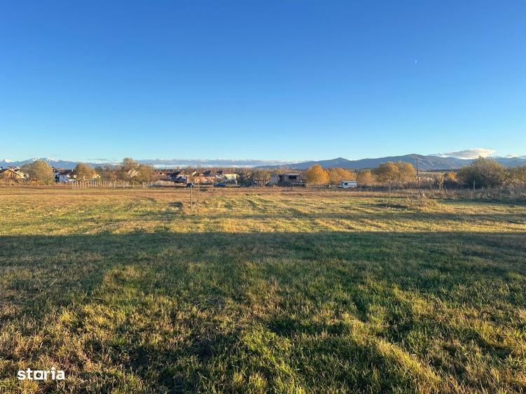Teren 445 mp. cu autorizatie de construire emisa, Turnisor, Sibiu - 4