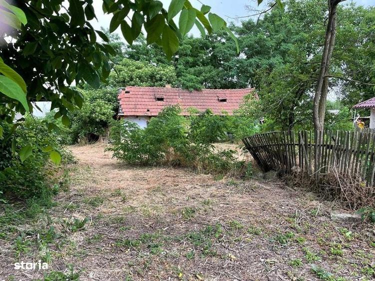 Teren de 1573 mp, în Trifești