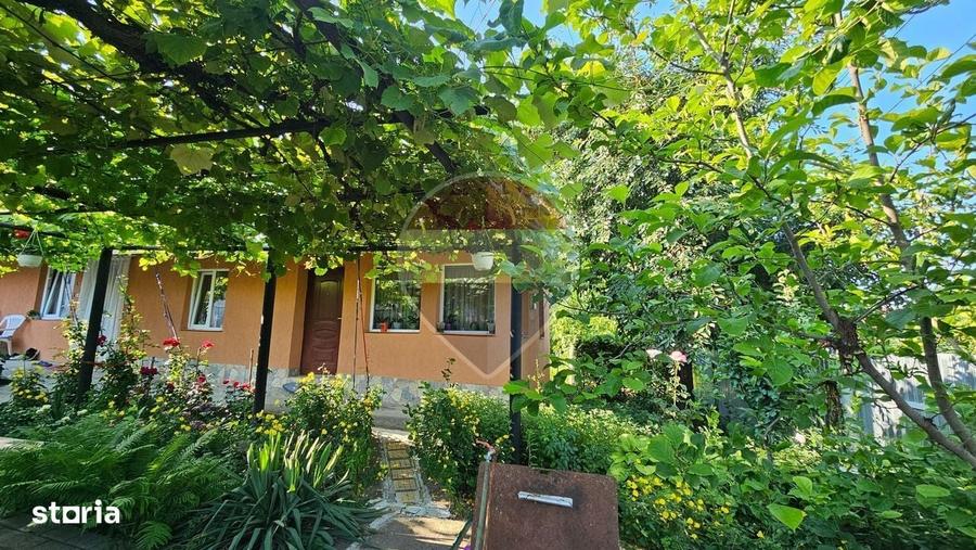 Casă cu 3 camere în Dochia