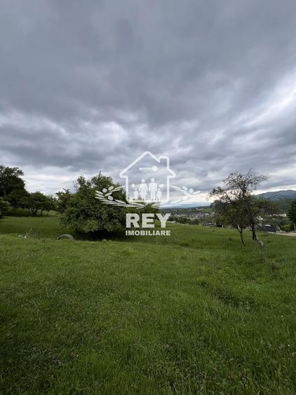 Teren Construcții intravilan de 5217 mp, în Cisnădioara
