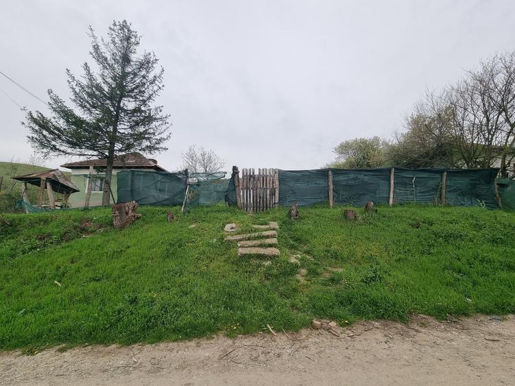 Casă cu 2 camere în Goiești
