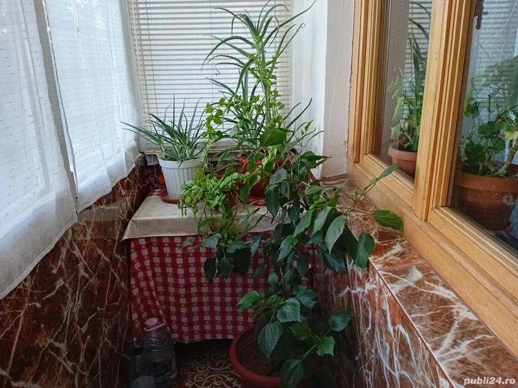Apartament cu 5 camere decomandat în Central