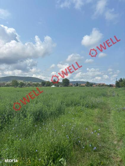 Teren de 5898 mp, în Albești